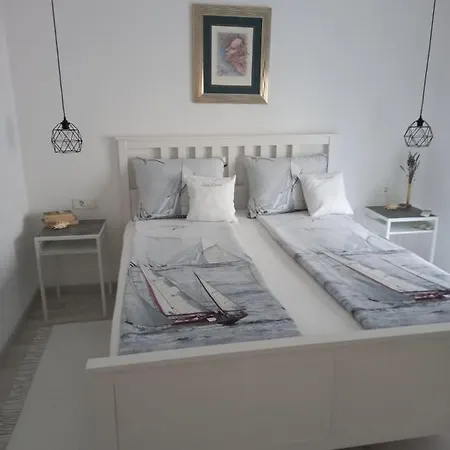 Viva * Zadar
